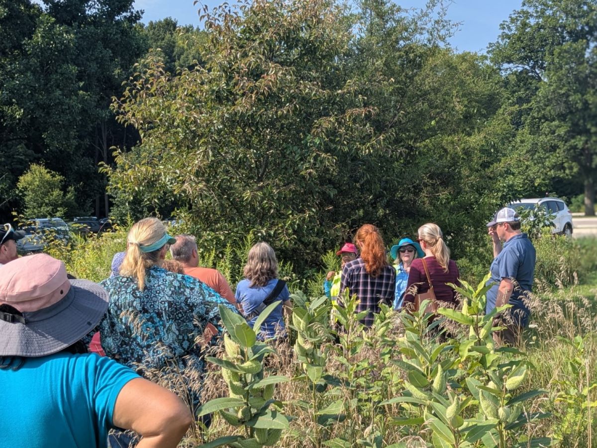 Edible Plant Hike
