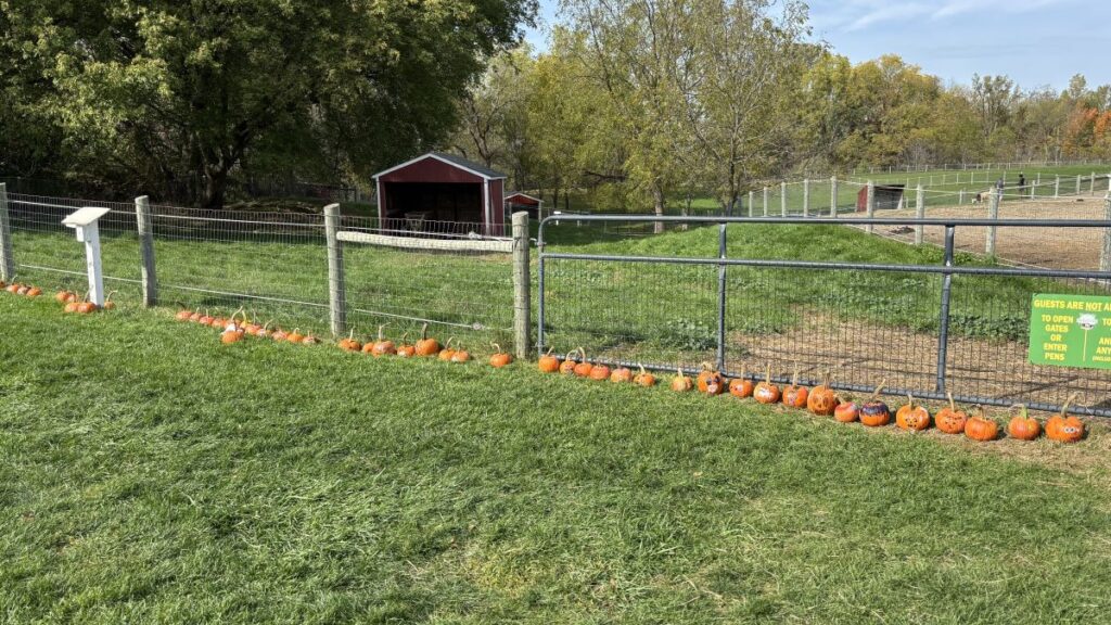 Farm Fall Festival 2026